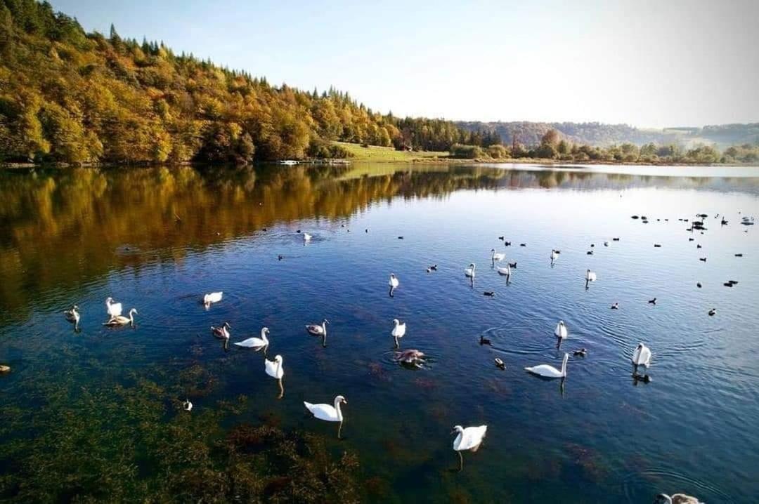 Domki Solina Roza Wiatrow Εξωτερικό φωτογραφία